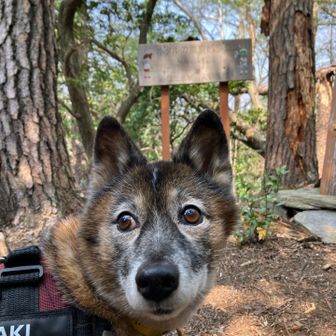 「遊山」にてパチリ