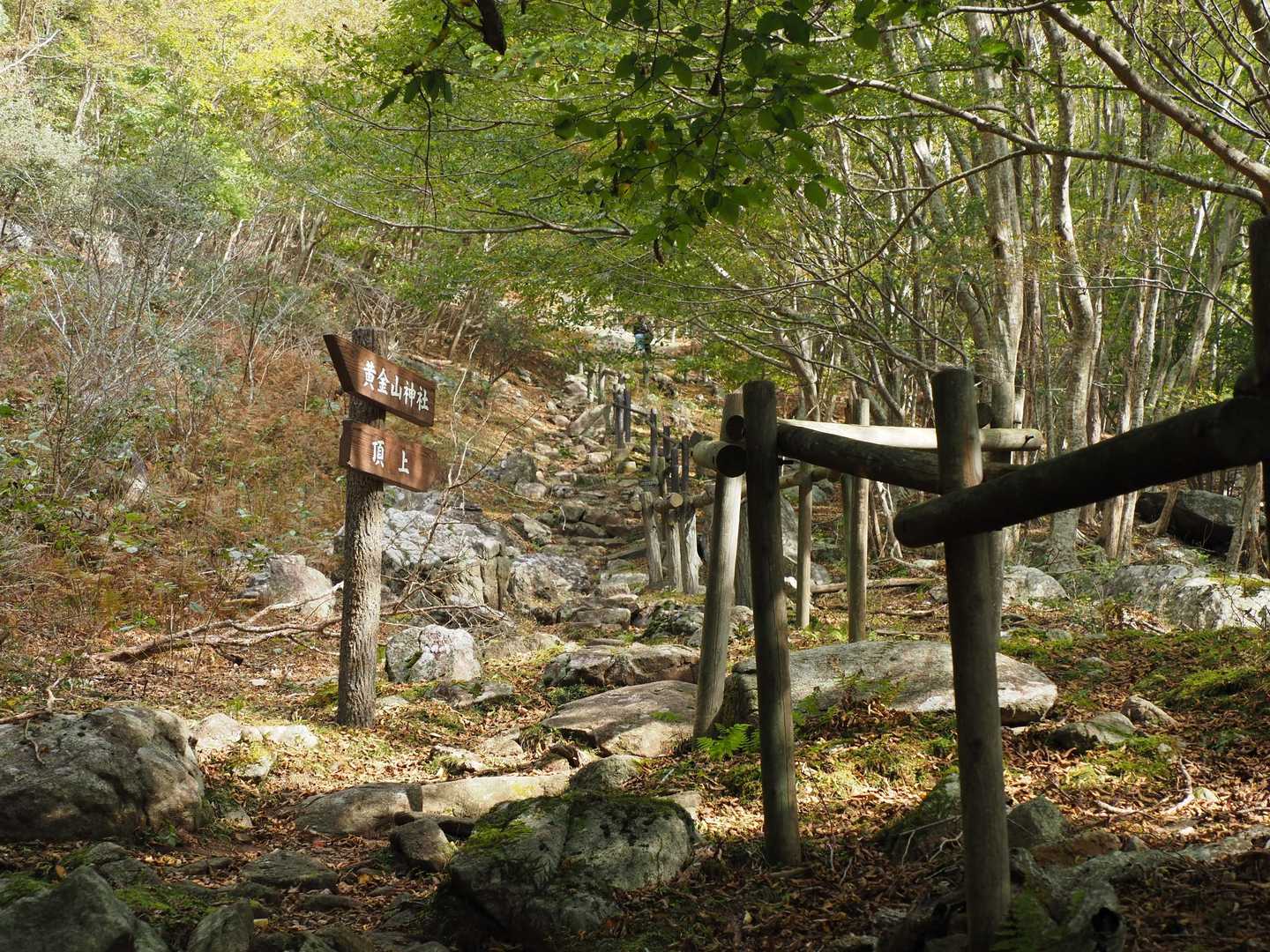 金華山黄金神社・金華山 往復コースの写真