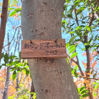 新サンドイッチ山