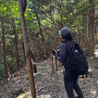 落ち葉が被っていて踏み跡が不明瞭なところが多かったです🍂
私はYasさんの軌跡を、師匠はけめこさんの軌跡を使っていました🧭