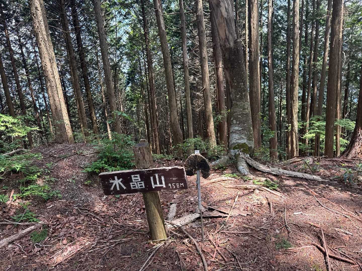 さんちょー

隙間展望のみ
