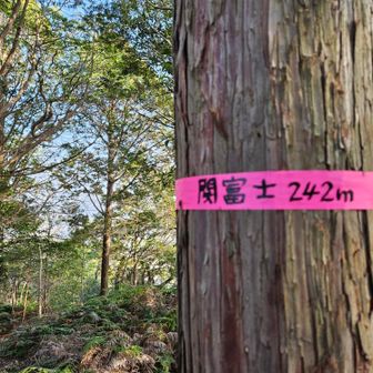 関富士到着
本日の予定のお山コンプ👍