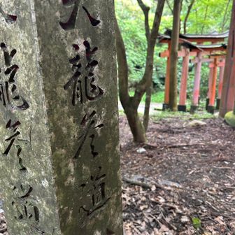 天龍参道…御膳谷奉拝所から清瀧へと下る裏参道