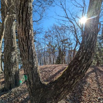 少しすすむと…