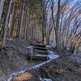 旧正丸峠から見上げる、正丸峠方向。写真では急には見えないけど、実際にはかなりキツイ。