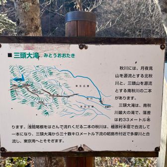 ここから多摩川を通って東京湾まで流れていく