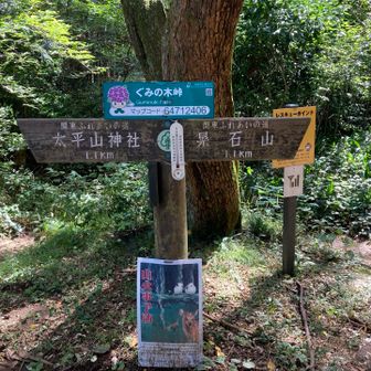 ぐみの木峠　気温18°