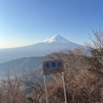 山頂からの景色