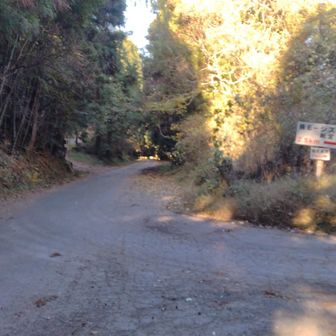 一旦、堀切峠に降り、軌跡を繋げる。