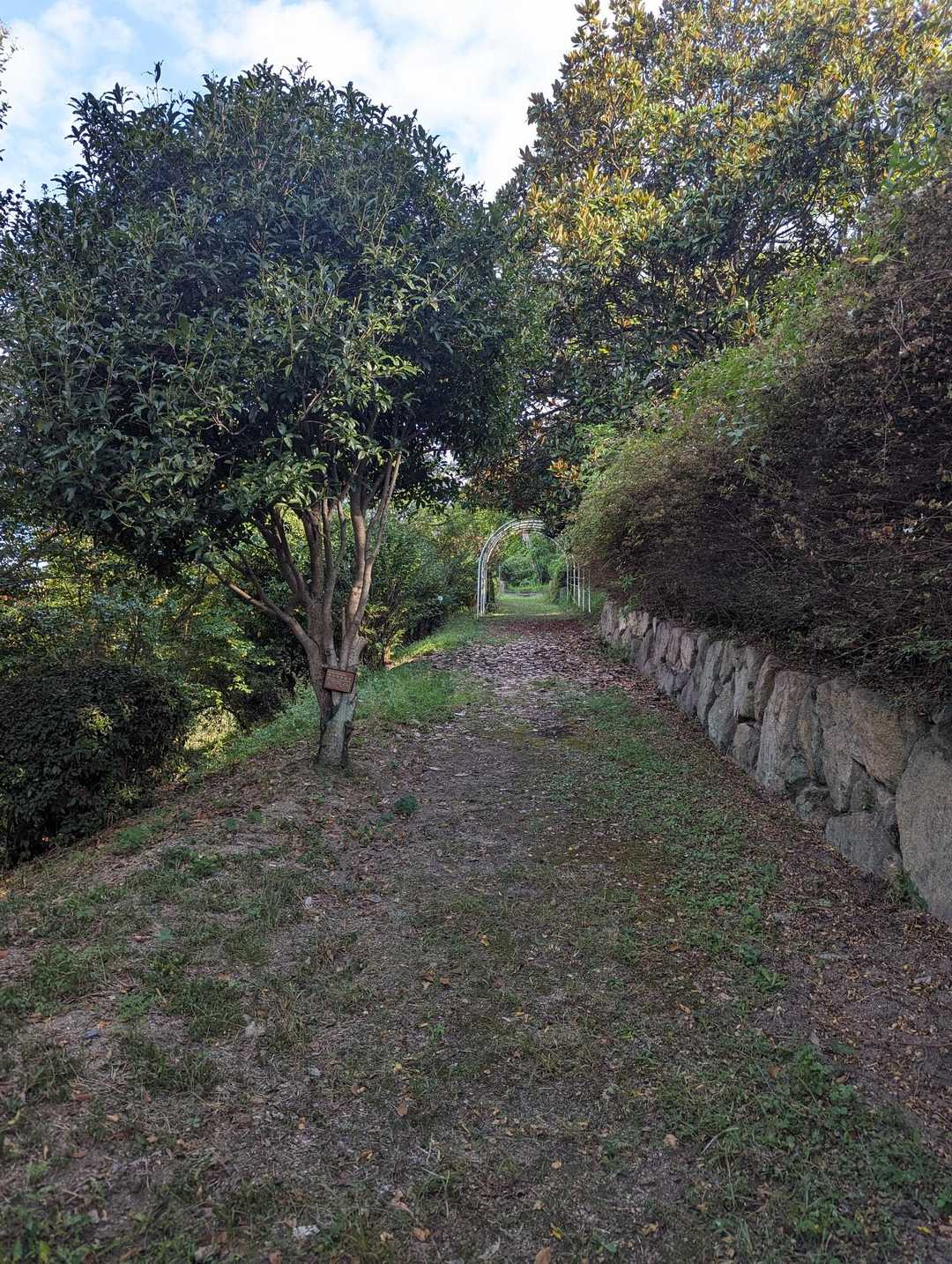 百華園左から入山🌸
桜の季節はキレイかもです