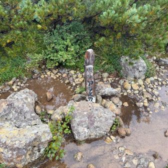 アラスカ庭園。