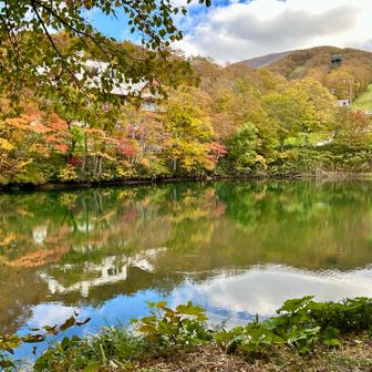 水辺に映る紅葉🍁