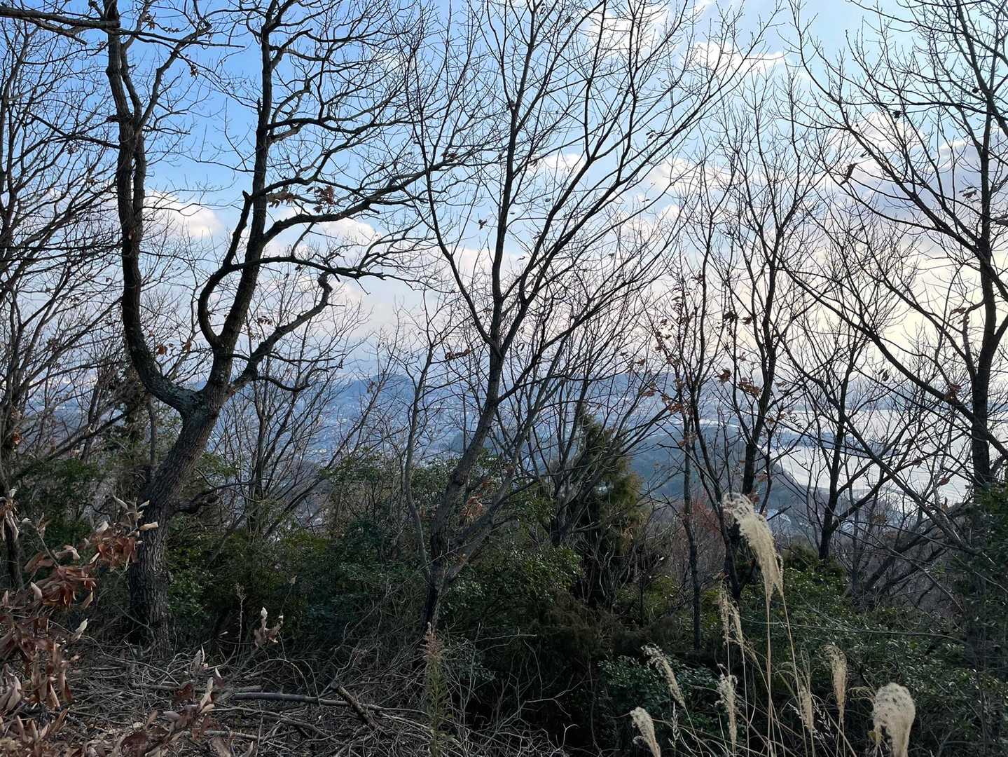 木々の合間から景色を楽しみます。