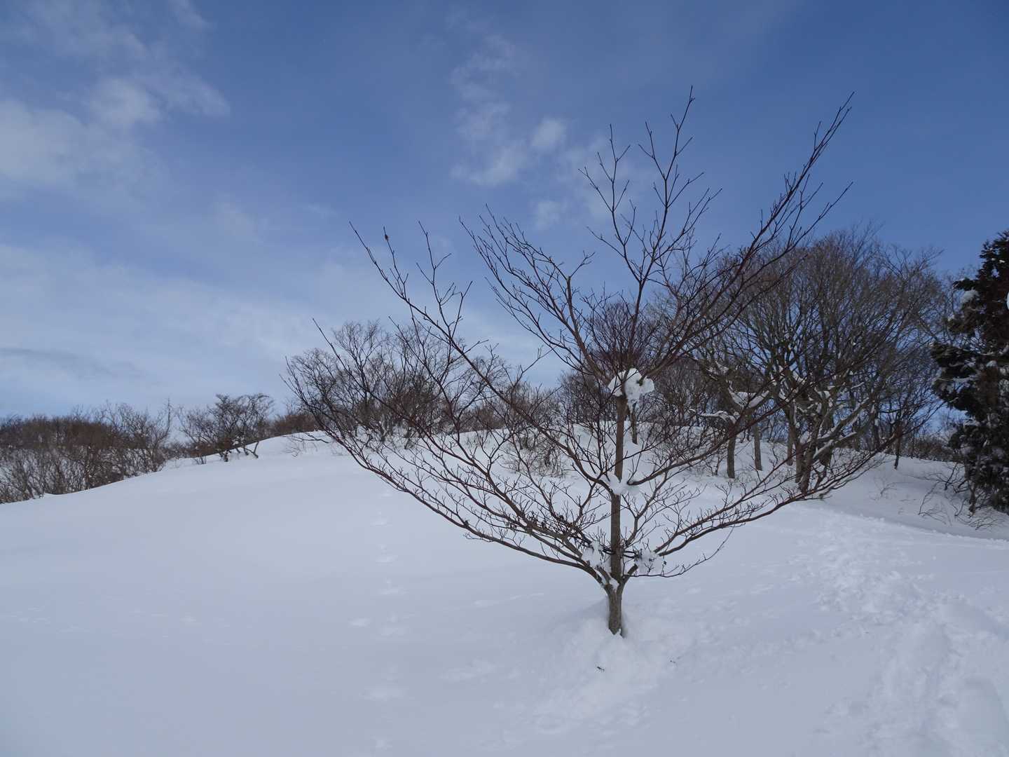 次の目的地 奥獅子吼山を目指し御堂山を下りました。