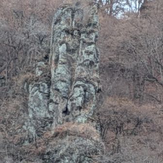 さて、私たちが来た登山口まで周回です！