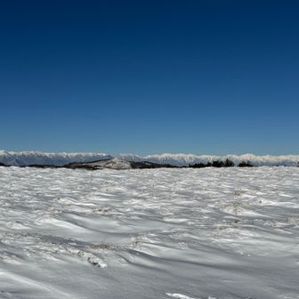 山小屋出たらいきなりアルプスだー！すげーー。