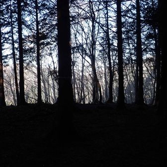 庭洞山山頂周辺だが眺望なし。