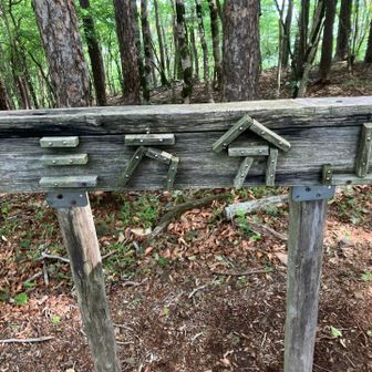 山頂に到着