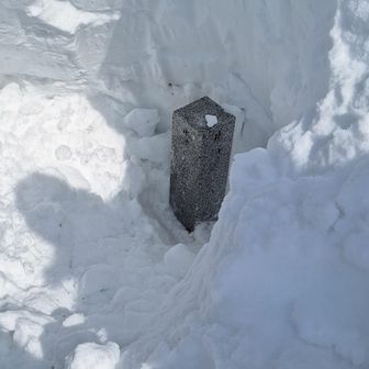 かなり雪が深く、やっと掘り出しました。