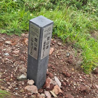 分岐
登り、東栗駒山コース
下り、中央コース
熊🐻見かけたのはここより400m程下だそうです。