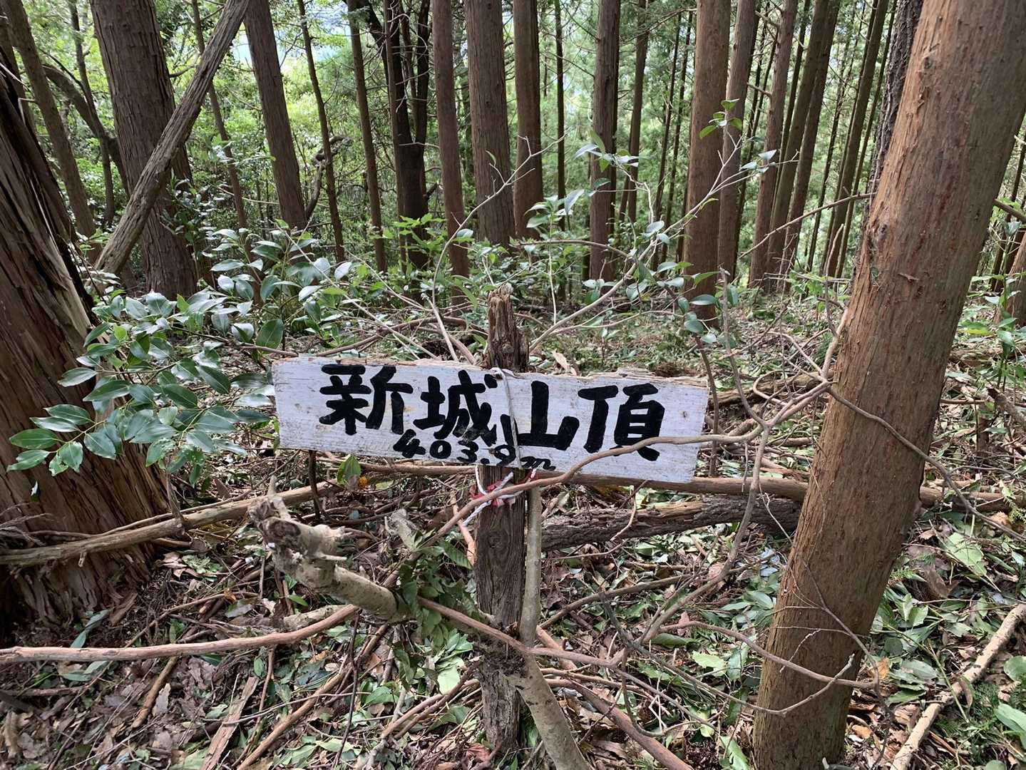 新城-茶臼山 往復コースの写真