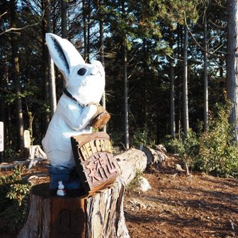 まずはうさぎさん🐇