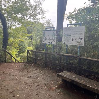 あじさい山
（山頂標識等はありません）