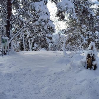 本丸ない眺望もない
