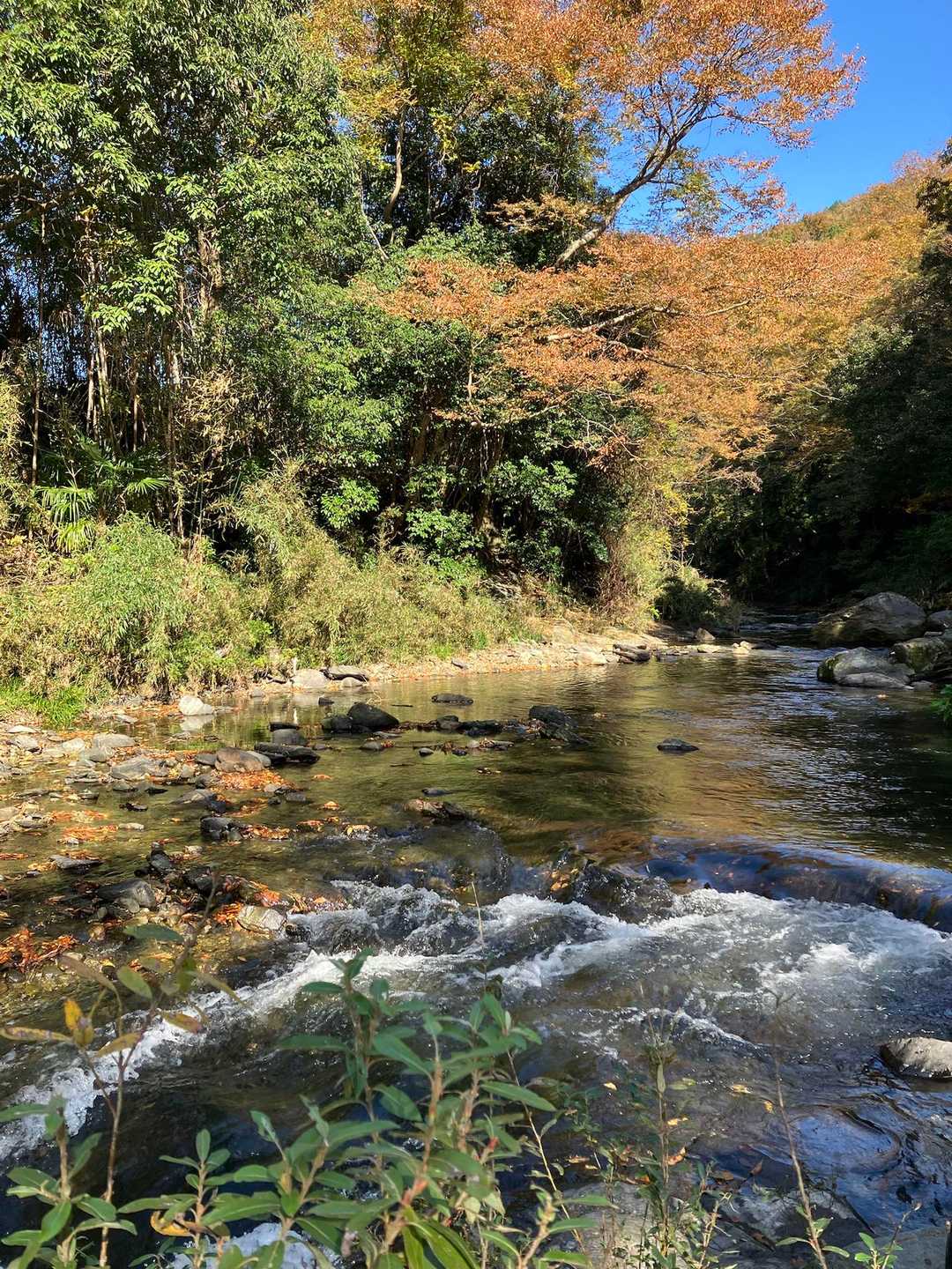 与謝野晶子「比企の渓」歌碑-大平山-大平山登山口 周回コースの写真