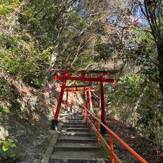 鳥居⛩️が続きます