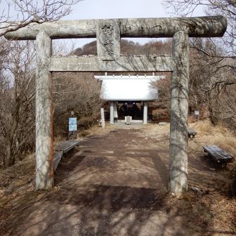 今年も無事でした。どうも
