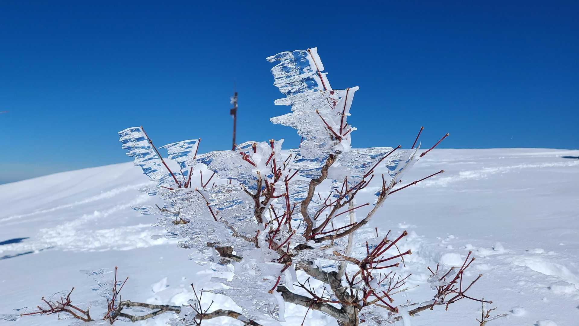 鍋倉山-大地山-初雪山 往復コースの写真