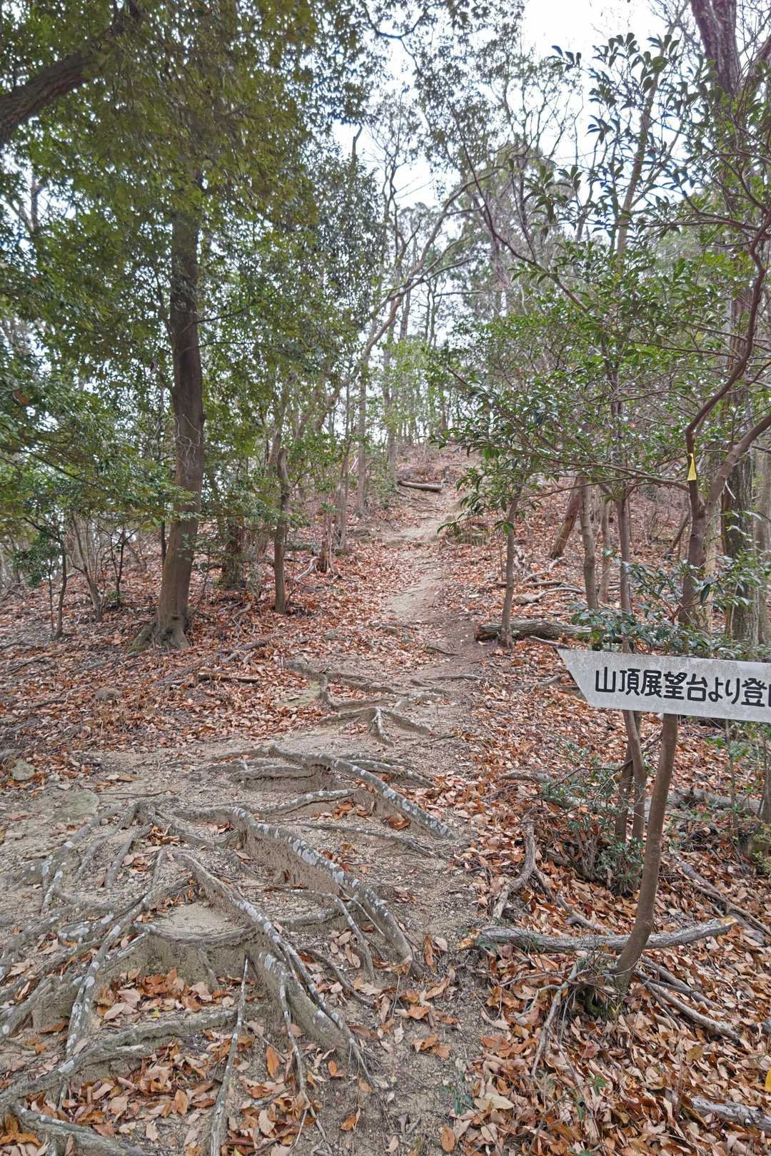 ここを登れば👍️