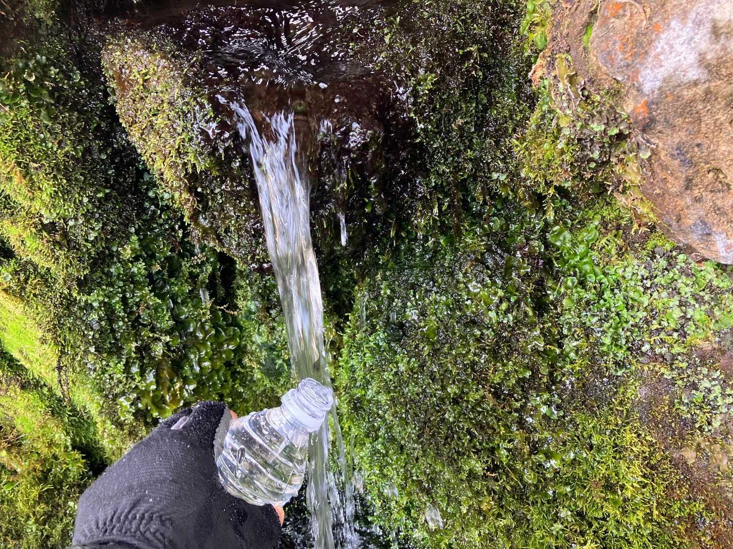 空になったペットボトルに補充💧