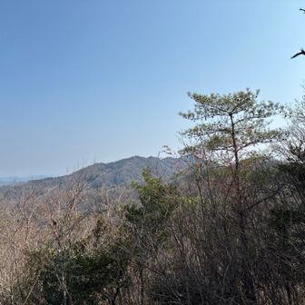 ちょっぴり景色の太平山。