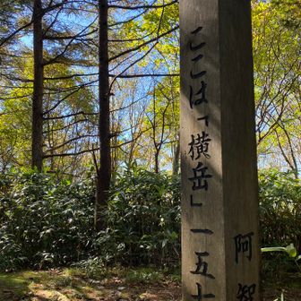 1座目✨景観ないけど落ち着きます