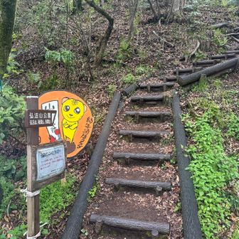 無事に下山しました〜