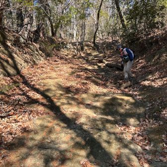 今日の核心部は男坂の降り
岩と落ち葉の急登で滑るので慎重に