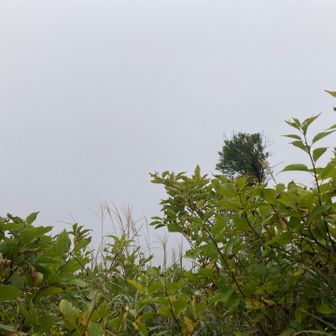 雲の中だったのでずっと霧で景観は無し