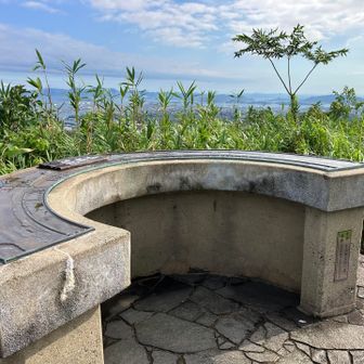 草木、竹が茂っており、ここに、登ってから、素晴らしい眺望が見られます。