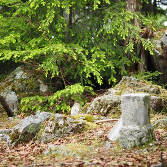 三角点ピーク。いくむし山、というらしい