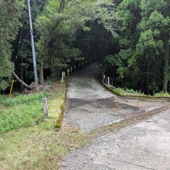 左へ行き⑧宝川西尾根コースを下る