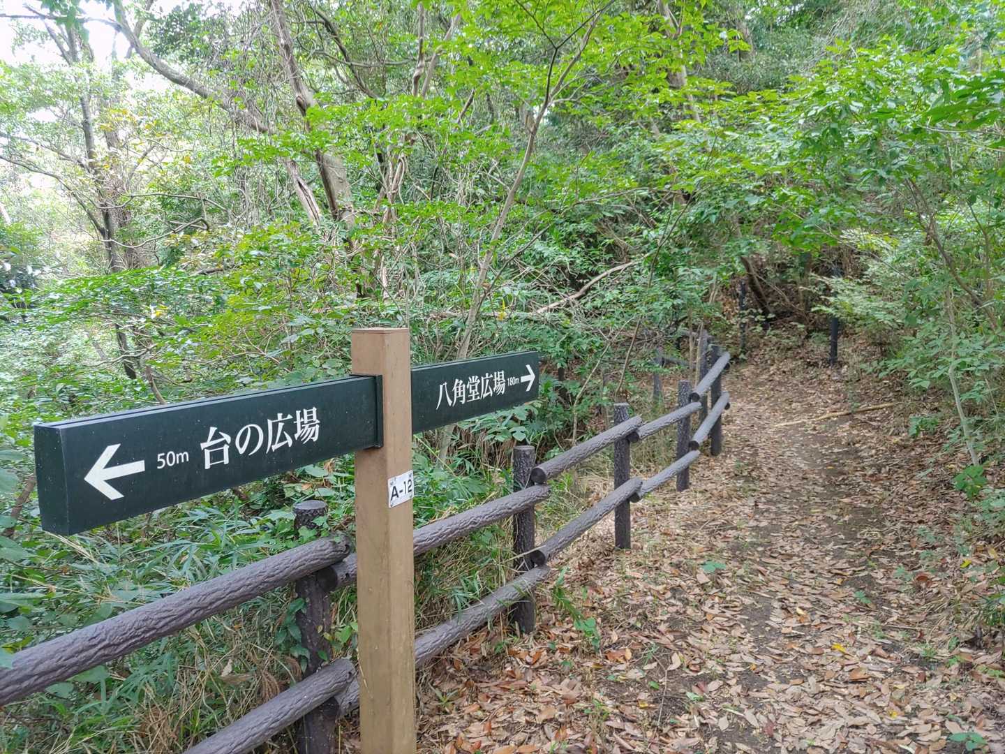 遊歩道は整備されてて歩きやすい。