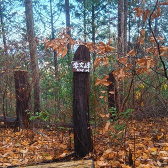 学文峰 到着☝️