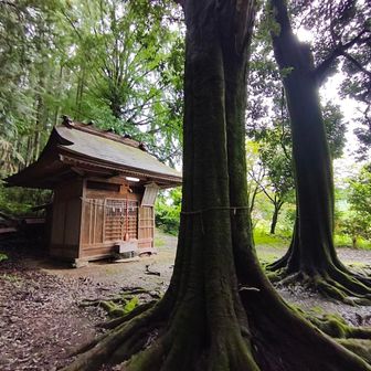 軍太利神社✨