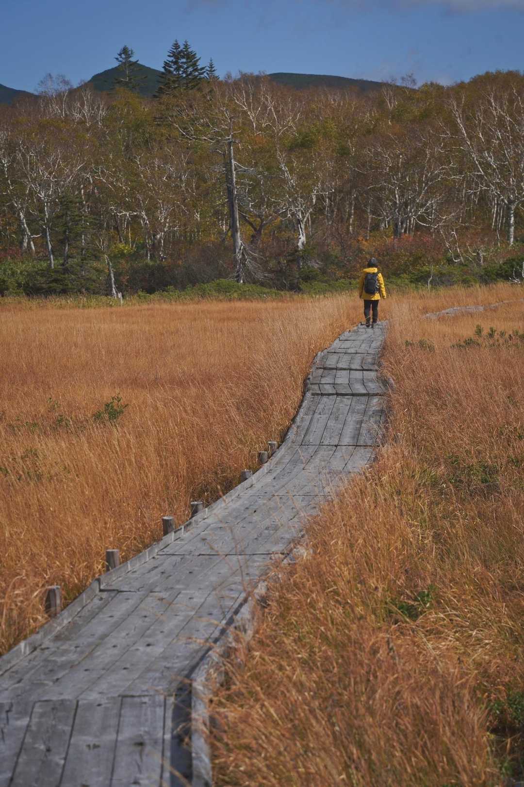 神仙沼登山口-ビーナスの丘-チセヌプリ 周回コースの写真