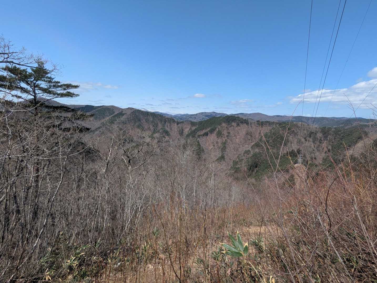 開けた👀✨️
鉄塔を過ぎると、下りてきた方が「今なら貸し切り山頂ですよ👍️」って😆