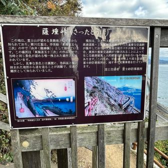 こんな感じ⤴︎
でも、念願のこの場所に来れただけでも感激😊
さぁ、さくらさんの開店時間に間に合うように急がなければ💨
時間に追われて足はパンパン、息は切れるでキツかった〜💦
でも、美味しい桜エビが待ってるからね😘