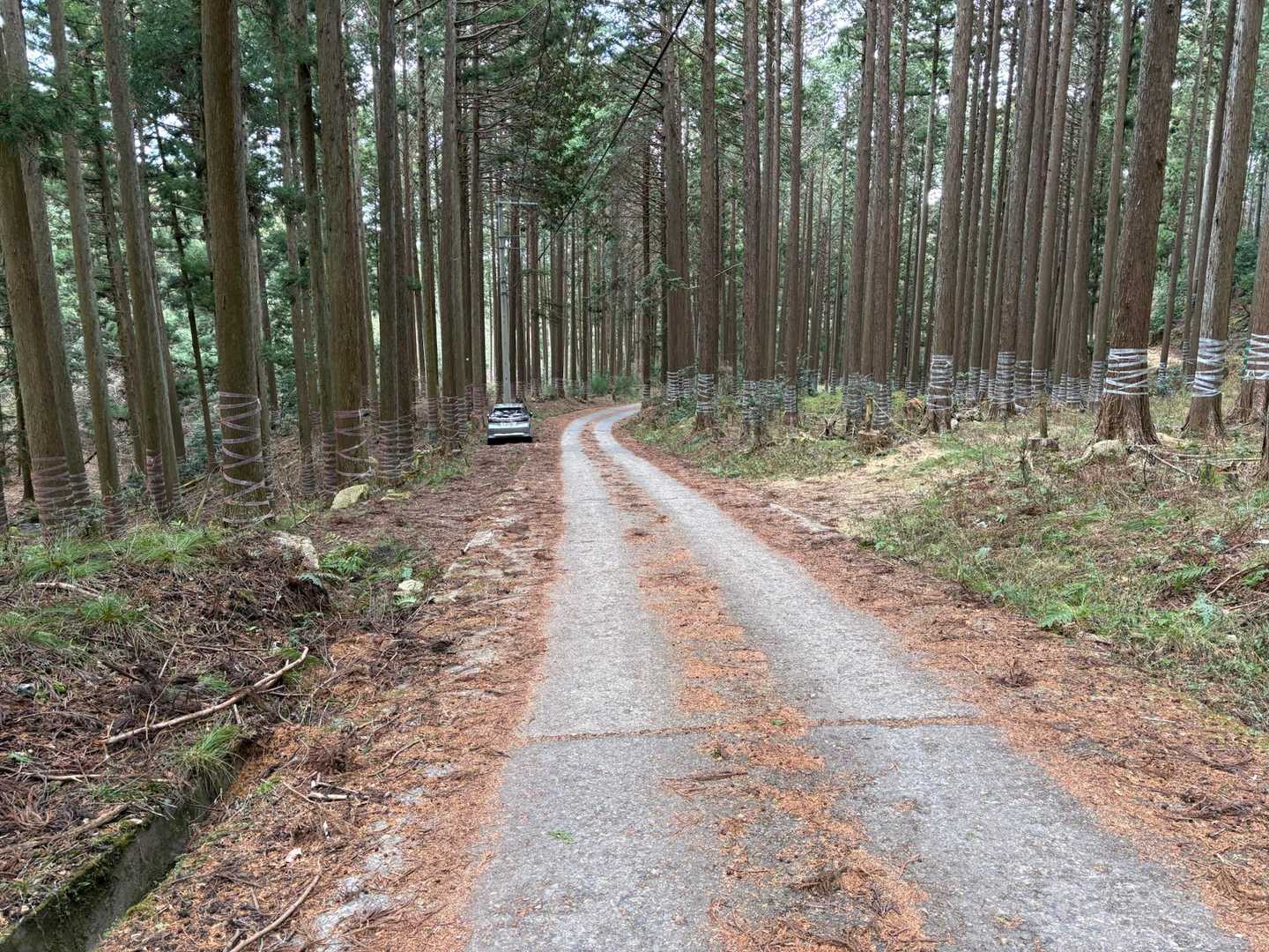 下山！