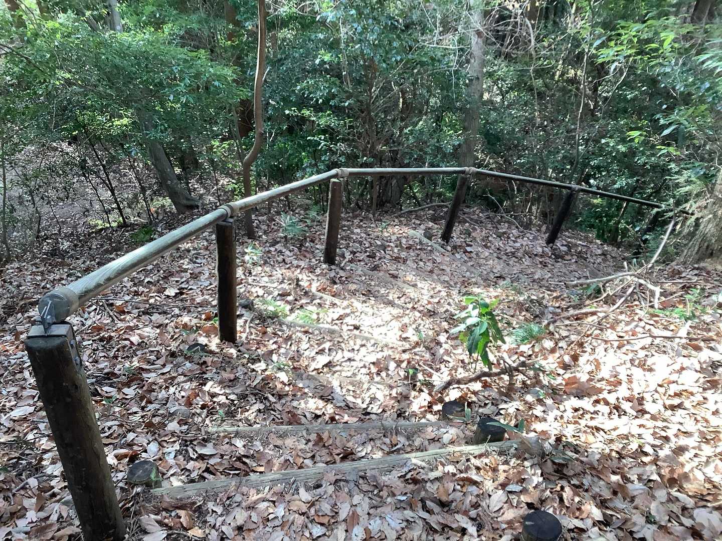 奈良駄峠近くなると手すり付きの勾配の大きい下り階段になりました。